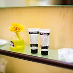 Regal Hotel 3*