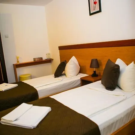 酒店 Regal 科斯蒂内什蒂