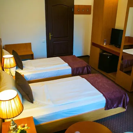 酒店 Regal 科斯蒂内什蒂